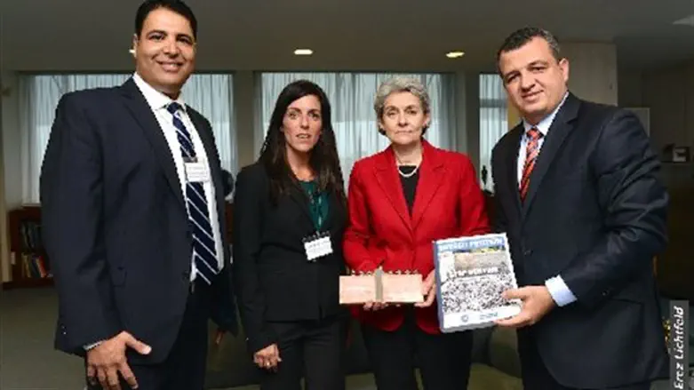 Вручение петиции председателю ЮНЕСКО Ирине Боковой