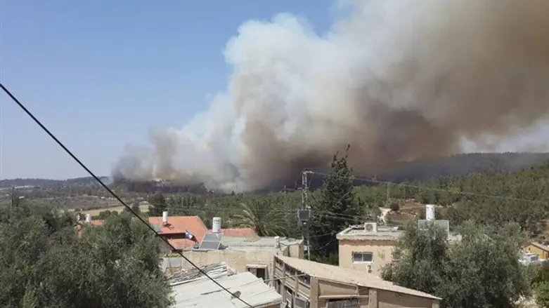 Пожар (Иллюстрация)