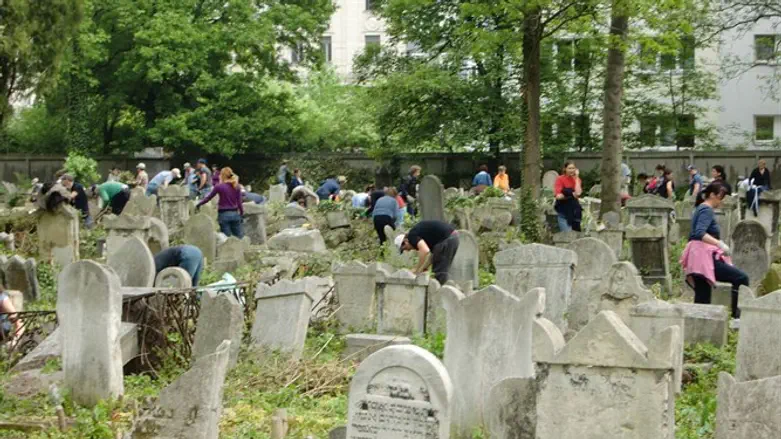 Volunteers working at Vienna's Waehringer Jewish Cemetery, Nov. 1, 2016.