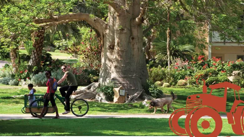 עירוב זה רק חוט