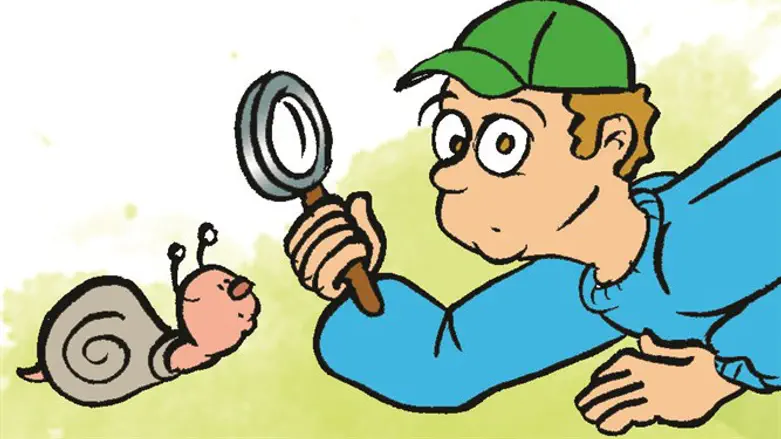 ללמוד מהחילזון