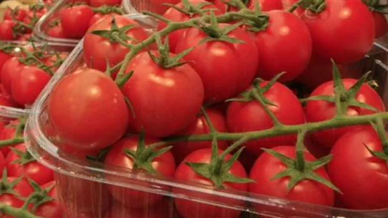 Tomatoes