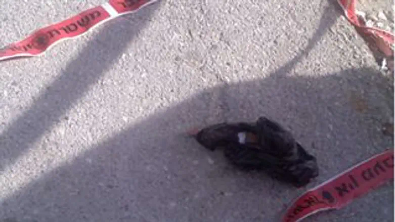 זירת הפיגוע