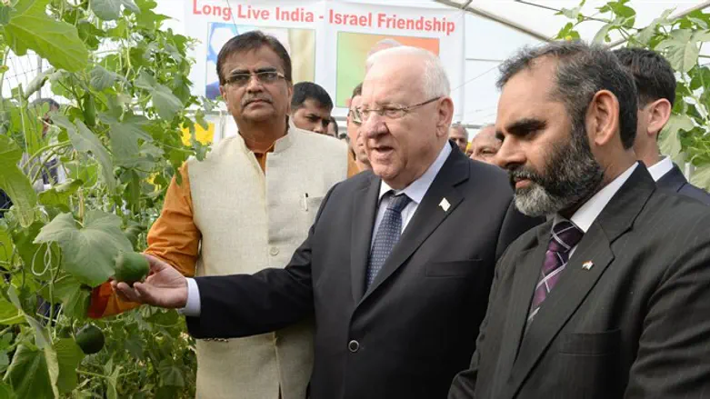 מאדיר את שמה של ישראל;