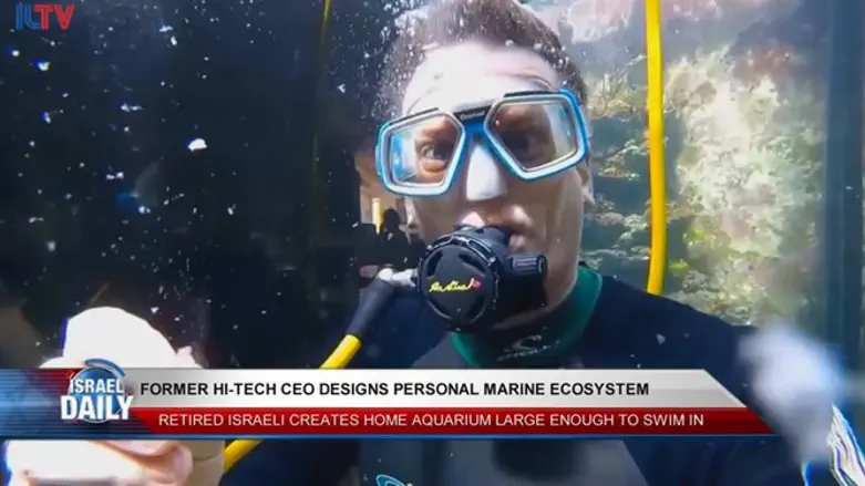 Former hi-tech CEO's personal marine ecosystem