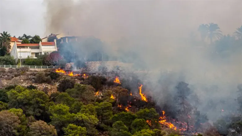 Zichron Yaakov fires