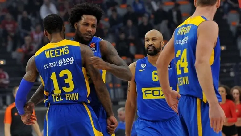 שחקני מכבי ת"א חוגגים עוד סל, הערב