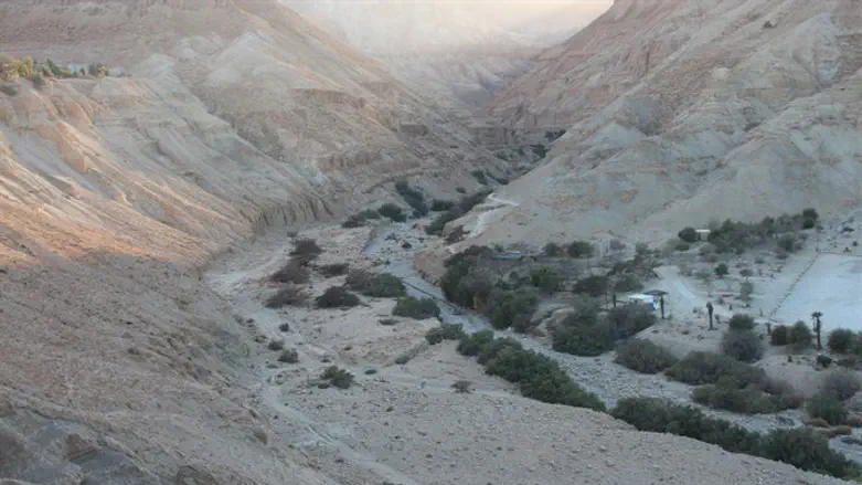 Ein Gedi Park