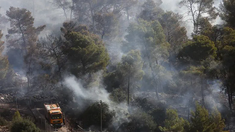 מקדימים התנדבות להצתה