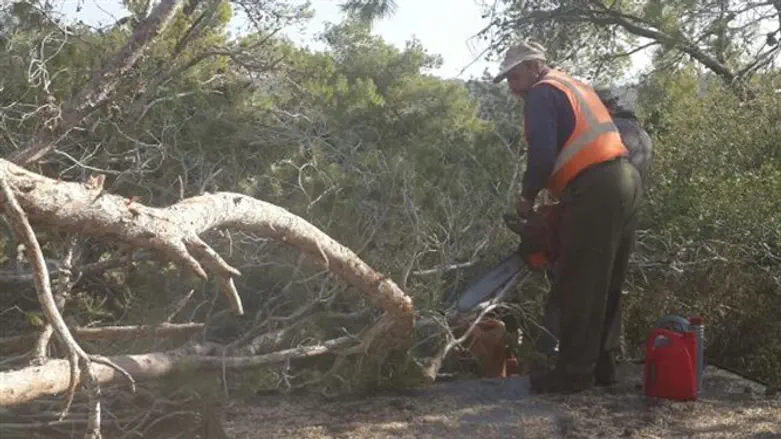 עבודות חישוף סמוך לנווה צוף