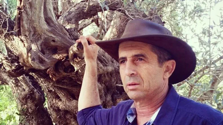 רם שמואלי