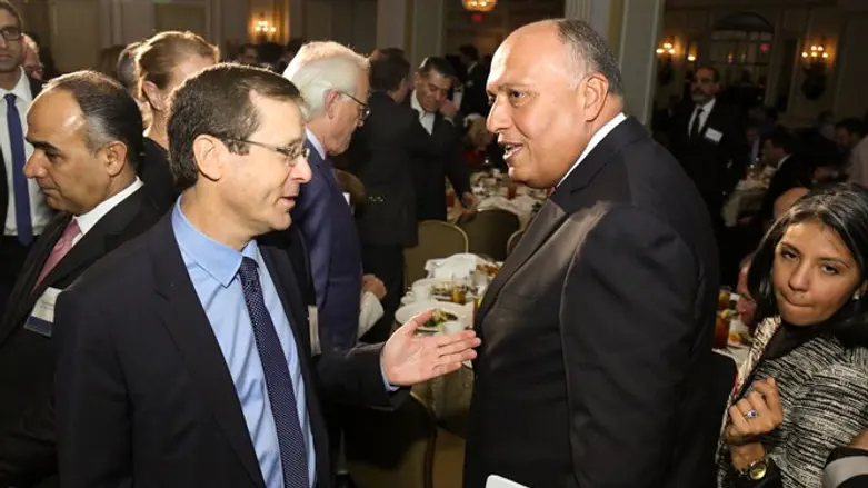 Herzog with Egyptian foreign minister
