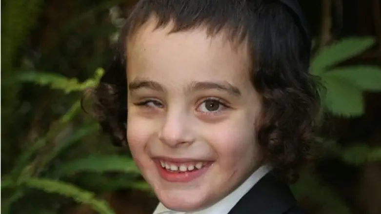 Потерявшийся мальчик Яков Дов Шрот