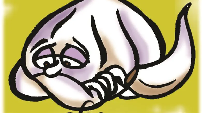 על כוחו של השום ועל הקשר בין הגוף לנפש