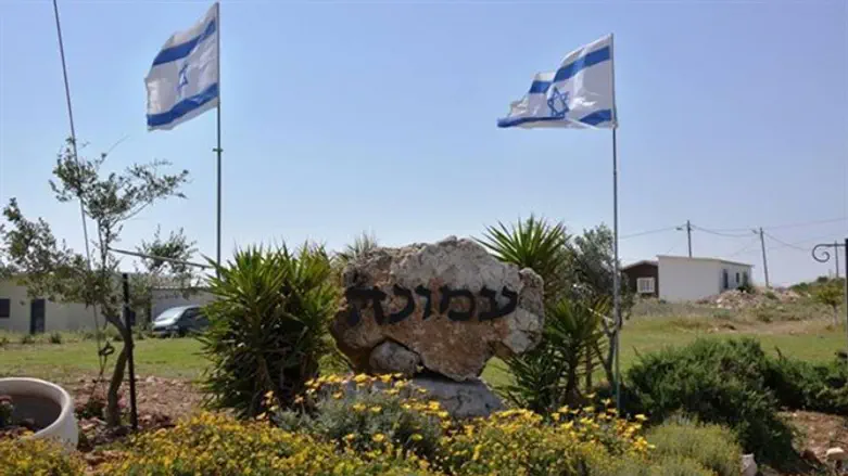 Amona