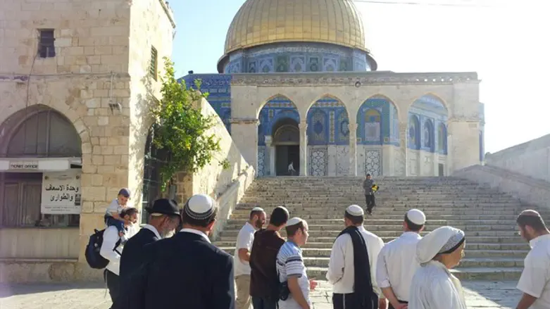 Храмовая гора