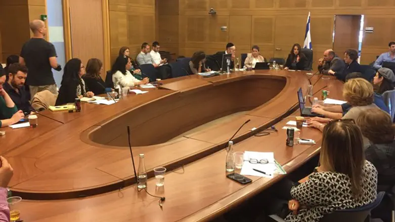 הדיון בוועדה לזכויות הילד