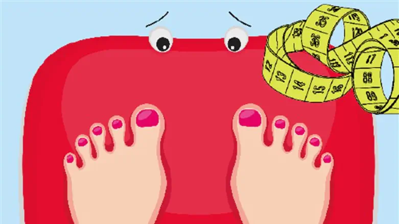 סיבים תזונתיים, מה זה בכלל?