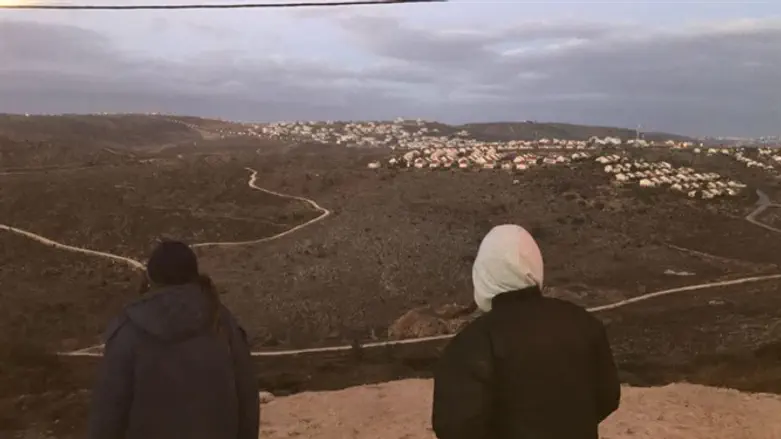 עמונה. ארכיון