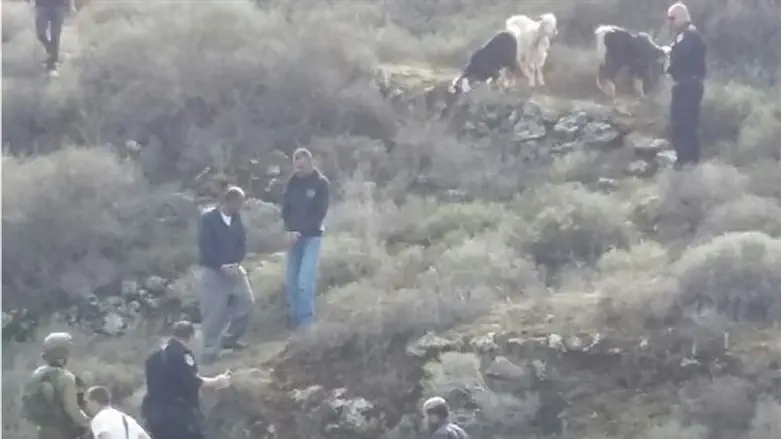 נתפסו בשעת מעשה