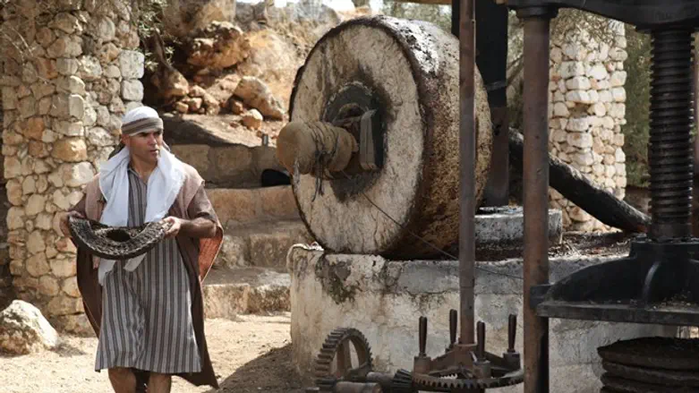 חנוכה בנאות קדומים