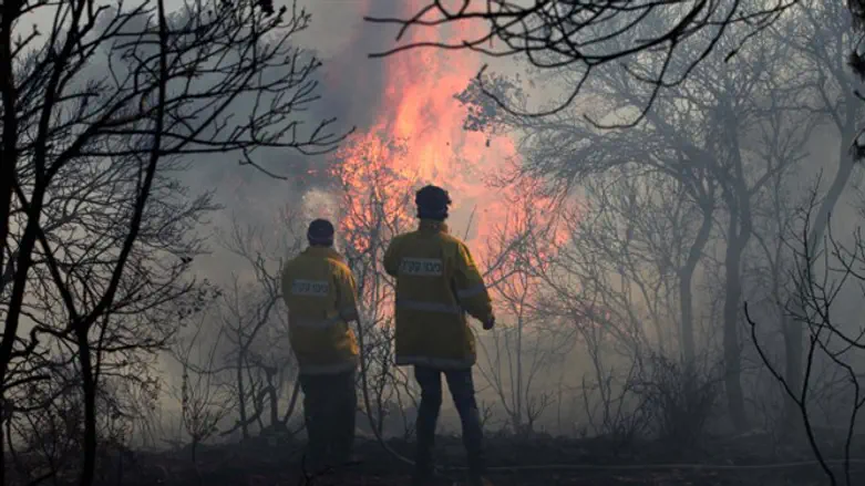  שריפת הכרמל