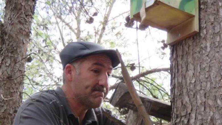 Установка домика для птиц