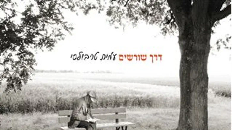 עמית טרבולסי