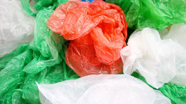 מזהמות ומלכלכות