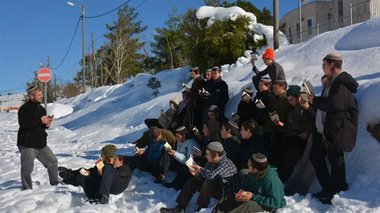 Learning in the snow