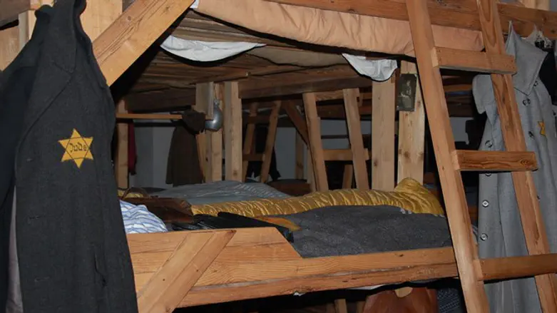 פרקים מושכחים. אושוויץ