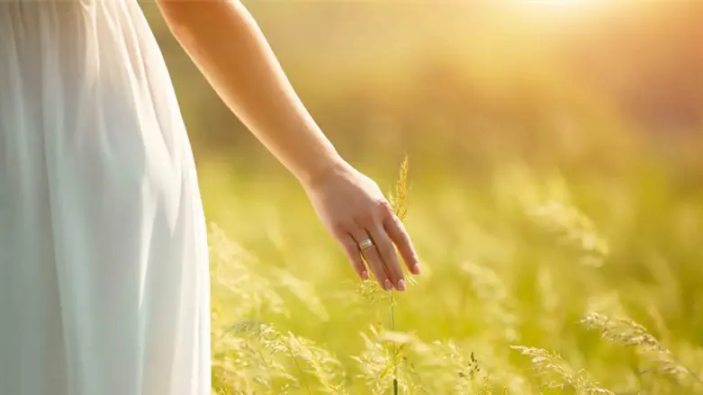 הענווה היא להכיר תודה