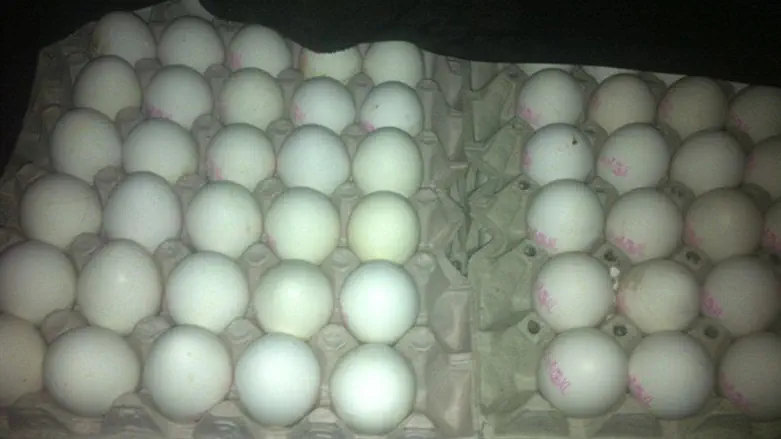 eggs