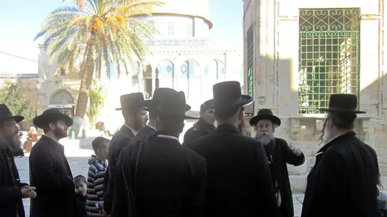 הרב ברנד ותלמידיו בהר הבית