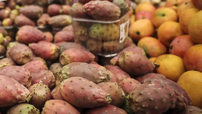 פירות. אילוסטרציה