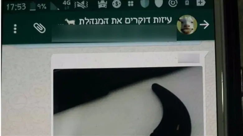 צילום מסך