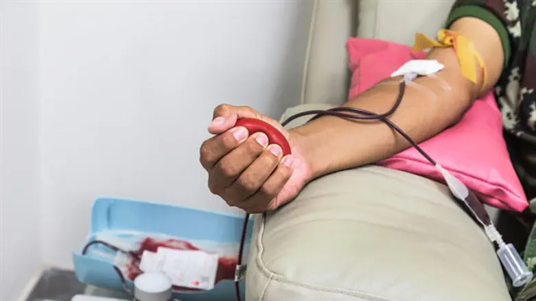 Blood donation (illustration)