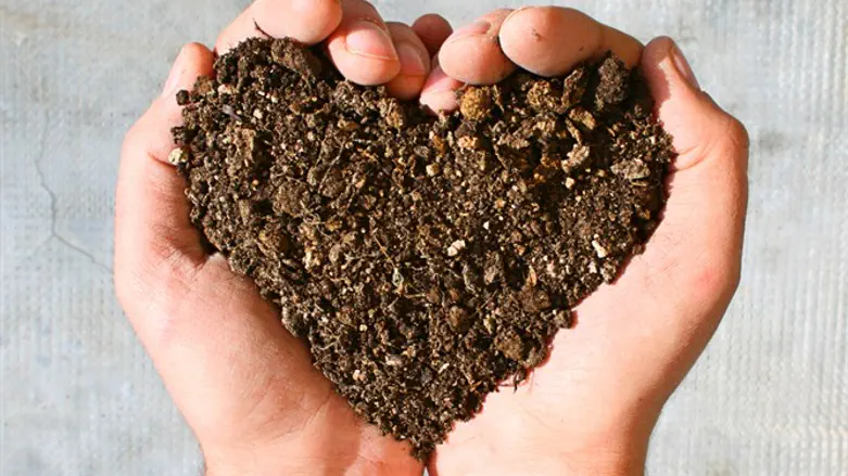 תוכן של שמחה ואהבה