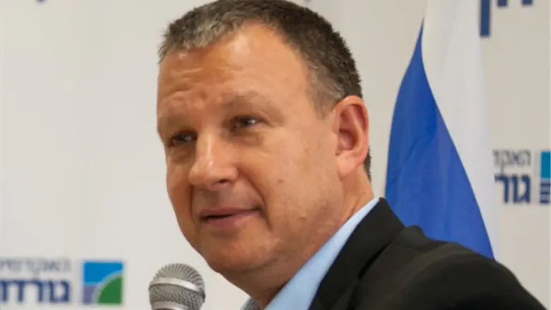 תוקף. מרגלית