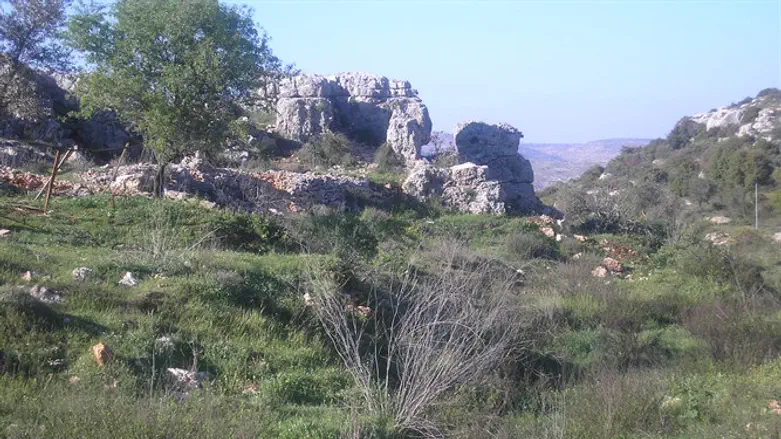 Judea and Samaria