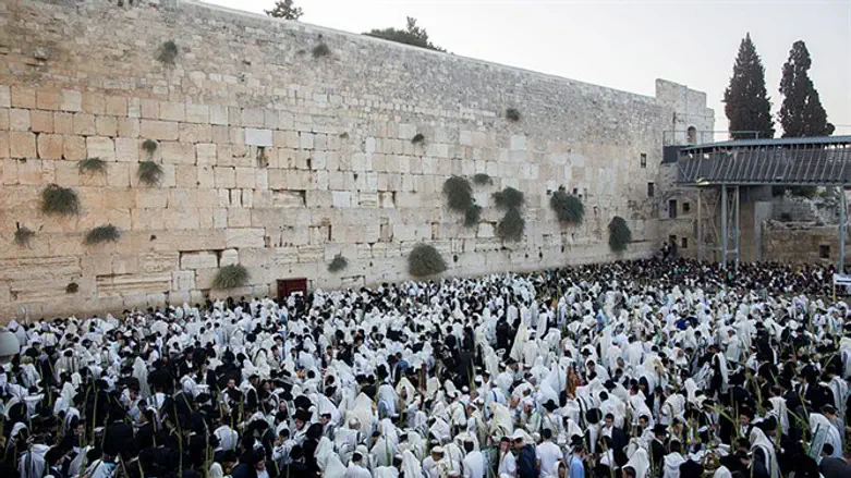 Hoshana Rabbah pray in Western Wall