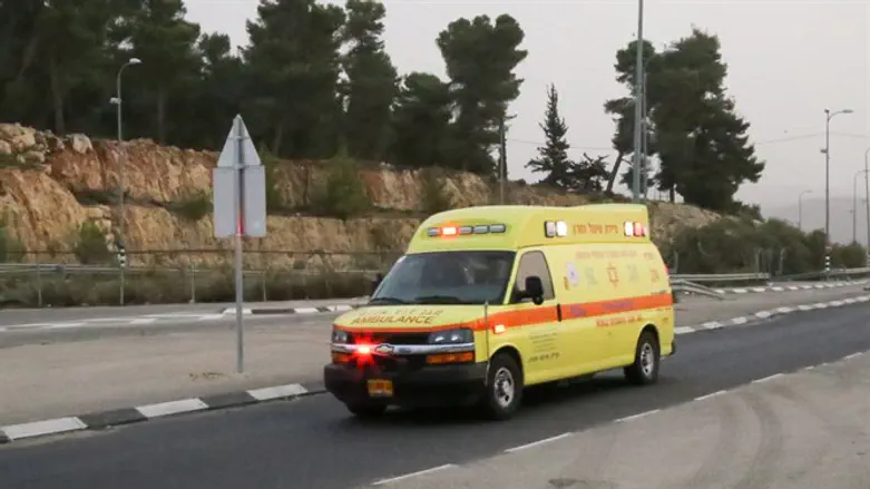 Magen David Adom Ambulance (illustration)