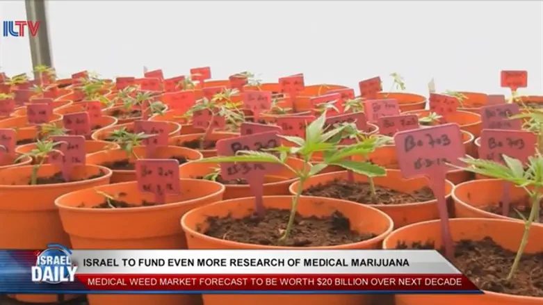Israel to fund more research of medical marijuana