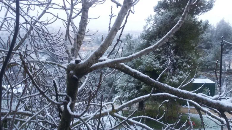 שלג בבנימין. ארכיון