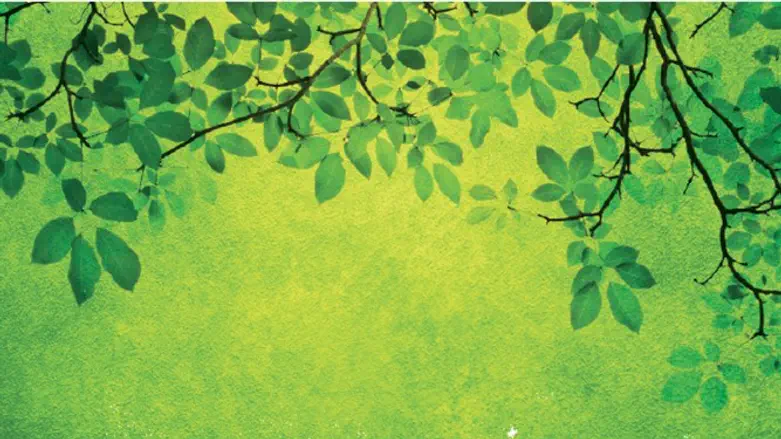 ירוקה ולא מקנאה