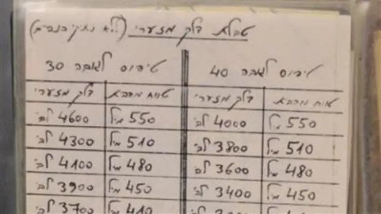 תערוכת אילן רמון