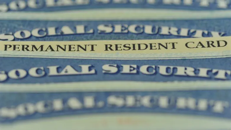 Green Card (illustration)