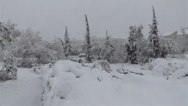 Snow as far as the eye can see (illustrative)
