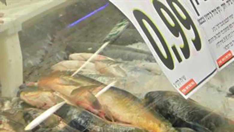 הכי נקי. דג ישראלי