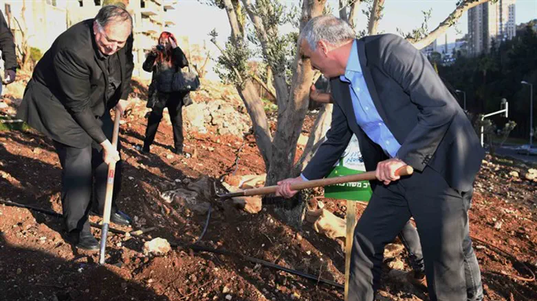 Моше Кахлон и Йона Яхав сажают деревья